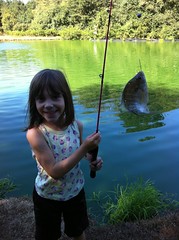  Sophie's Awesome Panfish 