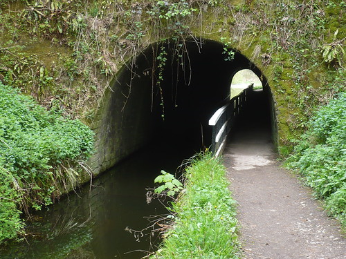 Cromford Canal I ~ 2nd May 2010