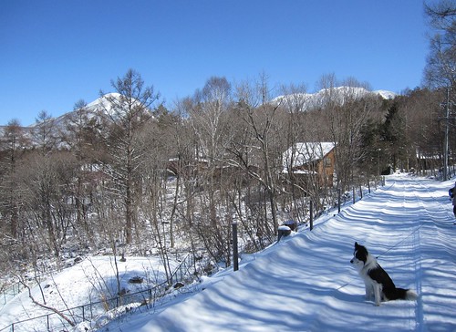 春の積雪／後ろ左は蓼科山、右は北横岳　2010.3.30 by Poran111