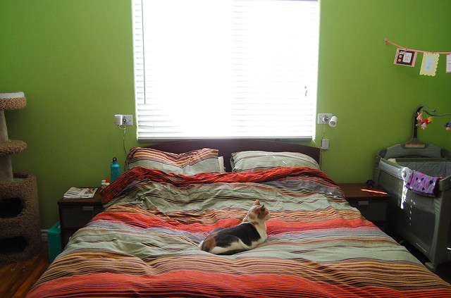 Nuestro cuarto y kitty Ally
