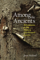Among the Ancients book cover