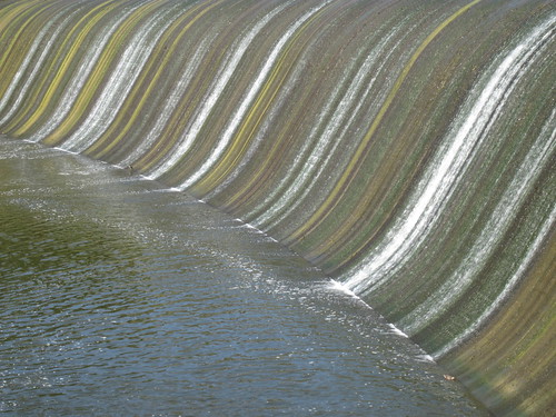 Grigg's Dam