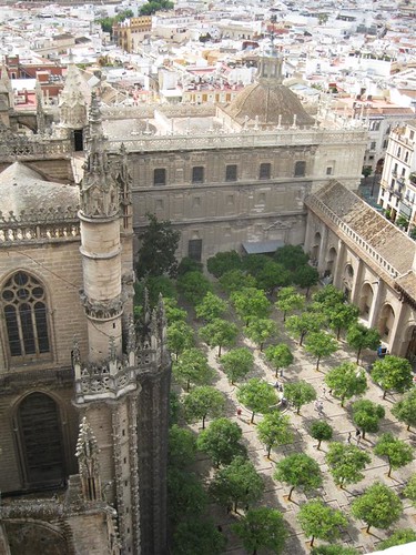 Seville (12)