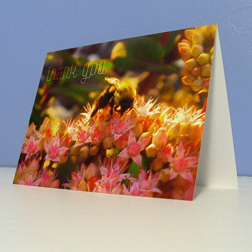 Sedum Bee Thank You Card
