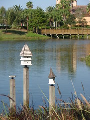 birdhouses, lake