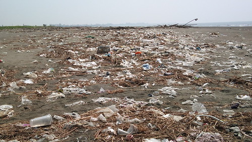 一眼望不盡的塑膠垃圾海岸