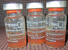 Tetanus Anti-toxin