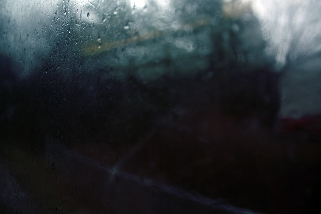 Day 91 - Rainy Bus Windows