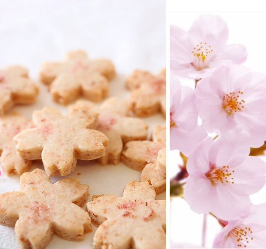sakura cookies