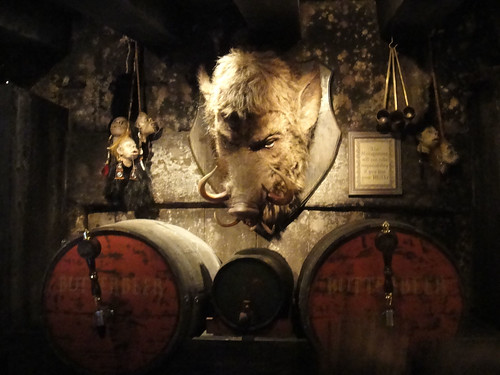 Wizarding World of Harry Potter - behind the bar at the Hog's Head pub