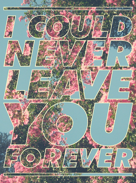 I Could Never Leave You Forever 3