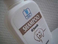 Hundeshampoo