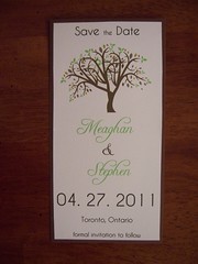 Meaghan & Stephen Save the Date