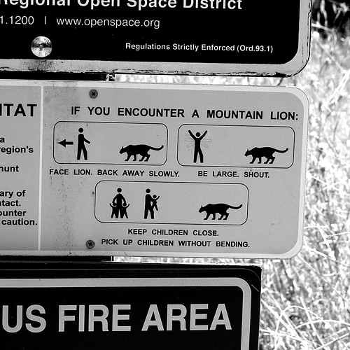 Mountain Lion Warning