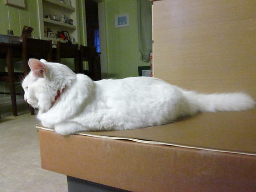 Nilla as a loaf.