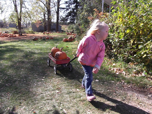 Pumpkin Towing - 1