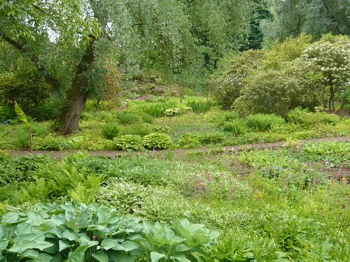 Harewood Himalayan Garden