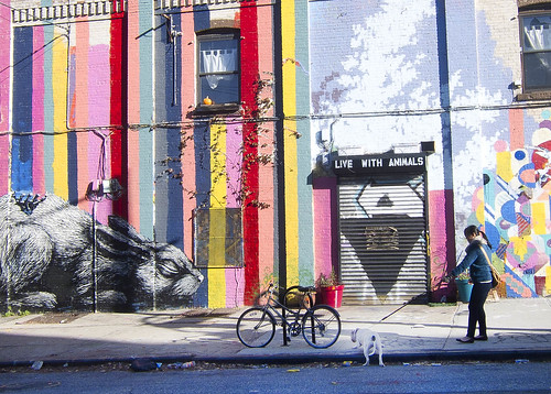 Walking a BARC pitbull in Williamsburg, Metropolitan Ave. near Kent Ave. Kayrock Screen Printing mural.