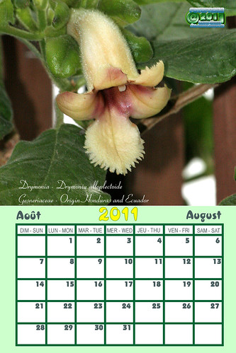 august 2011 calendar canada. august 2011 calendar with