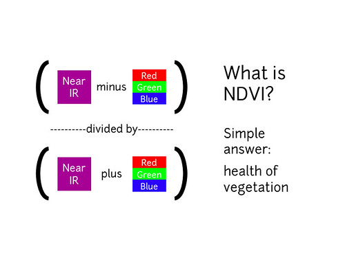 What is an NDVI image?