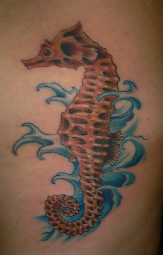 sea horse tattoos. Sea Horse Tattoo