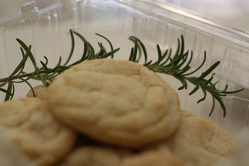 Lemon Rosemary Cookies