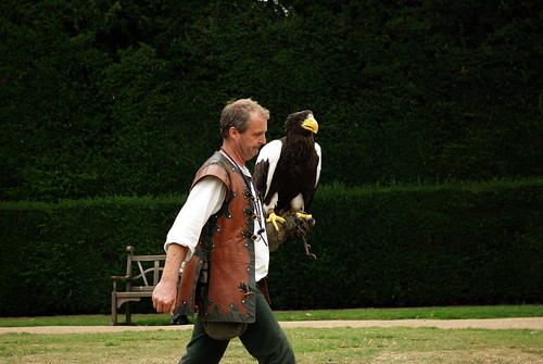Falconer and Sea Eagle