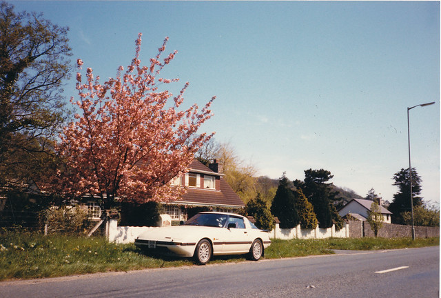 tree cherry under devon 1995 mazda rx7