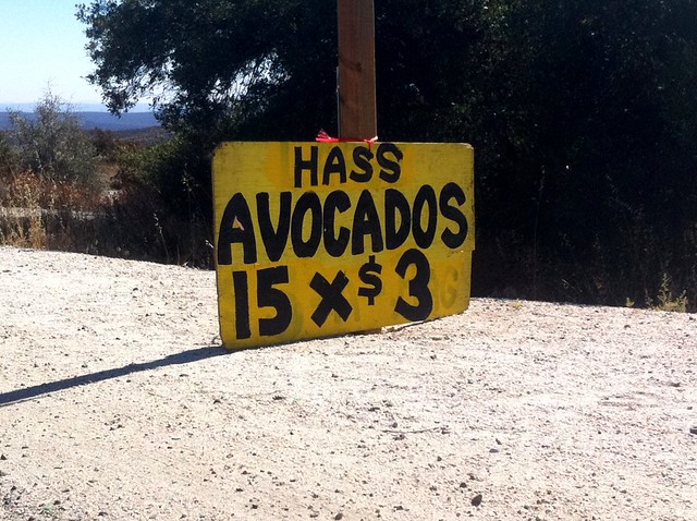 Cheap avocados