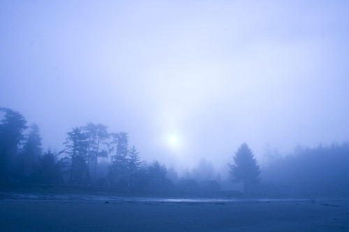 early morning fog