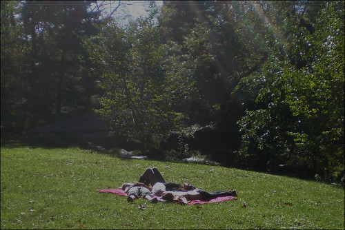 sunbathers in central park ny. sunbathing in Central Park