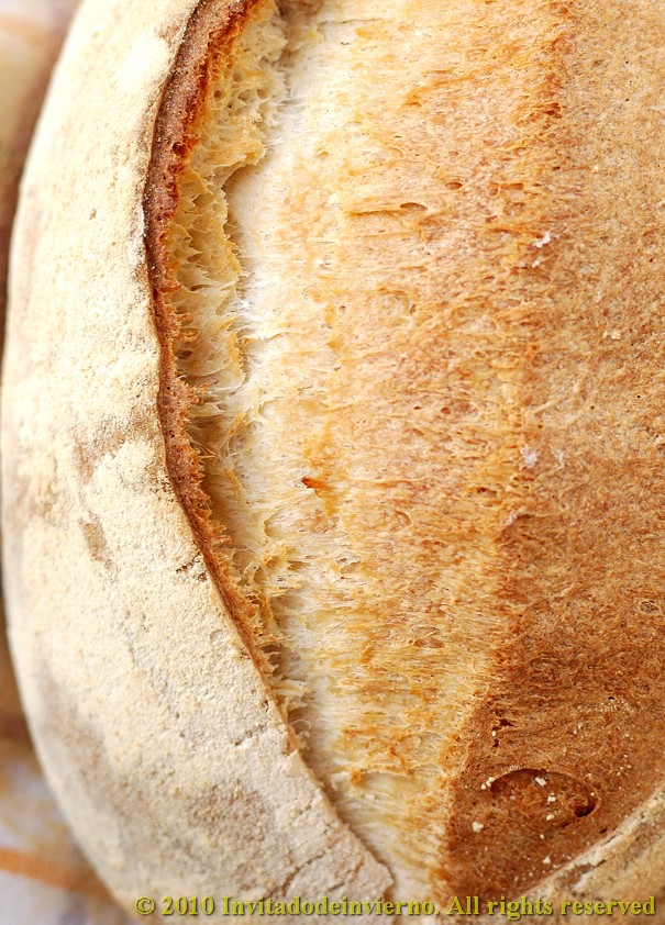 Vichy bread 4