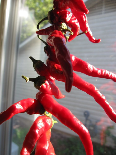Drying Cayenne Peppers