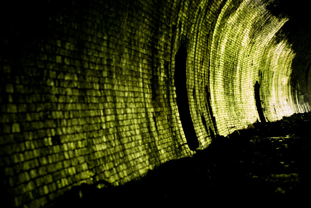 081010_ in the disused railway tunnel #4