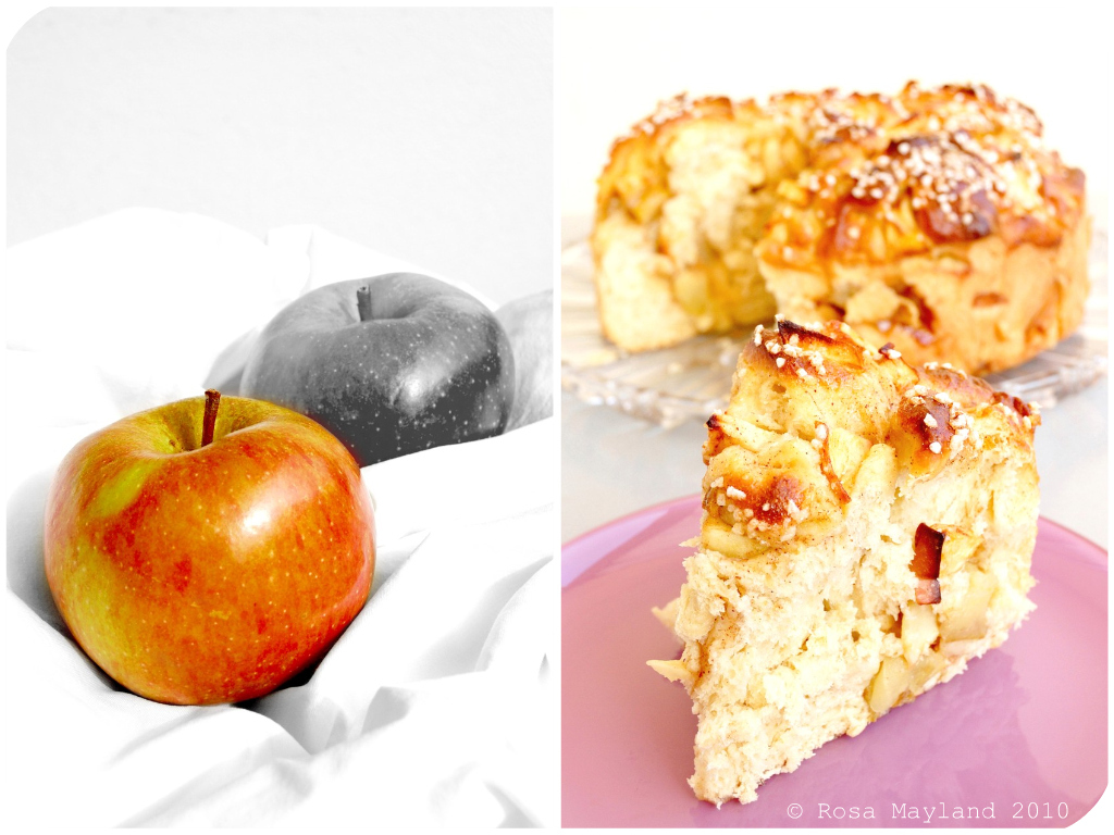 Apple Challah Picnik-Collage 1 bis