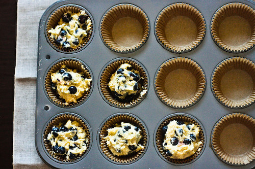 Blueberry cornmeal muffins in tin 1 (1 of 1)
