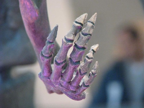 Dino's Hand