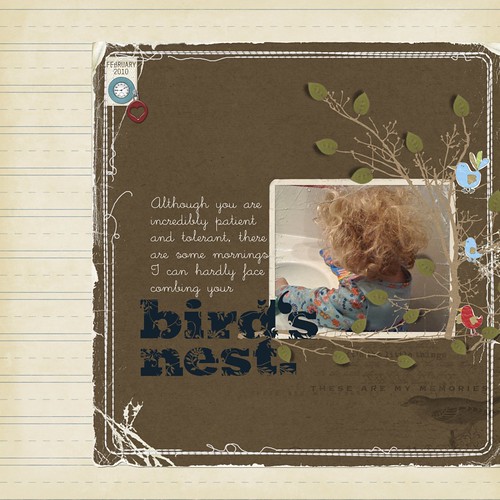 birds_nest.jpg