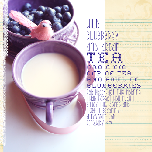 Wild Blueberry & Cream Tea