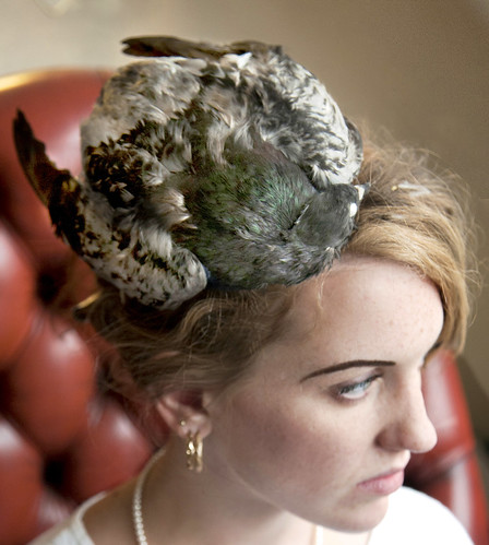 Pigeon Hat