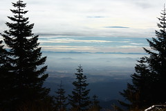 View of the Willamette Valley from Mary's Peak