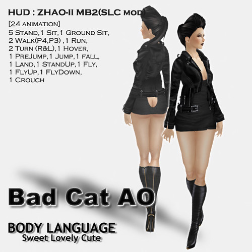 Bad Cat AO set