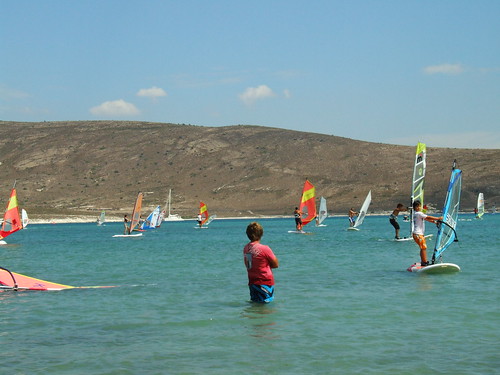 everybody just wants to go windsurfing