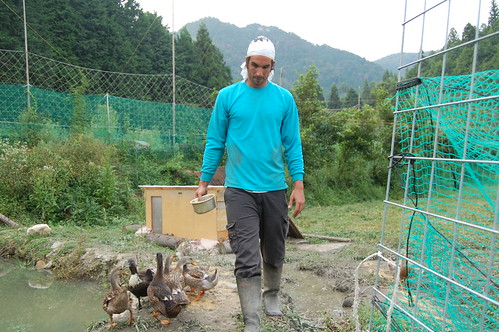 Permaculture experience in Ohara
