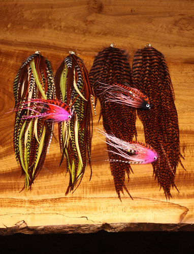 55 Grizzly and Natural Whiting Rooster Feathers Jewelry Crafts Fly Tying Feather 