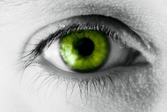 Green eye - jealousy