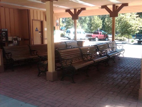 Crickets at the Placerville stop