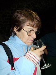Exkurze do vinohradu v Pustiměři, 5. 10. 2010