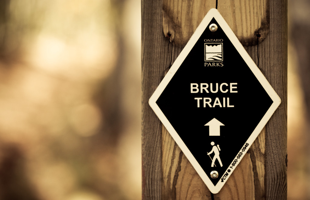 Bruce Trail [EOS 5DMK2 | EF 100mm Macro | 1/500 s | f/2.8 | ISO400]