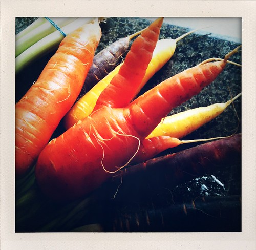 Mutant carrot!